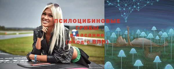 МДПВ Заводоуковск