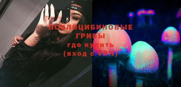 МДПВ Заводоуковск