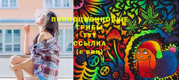 МДПВ Заводоуковск