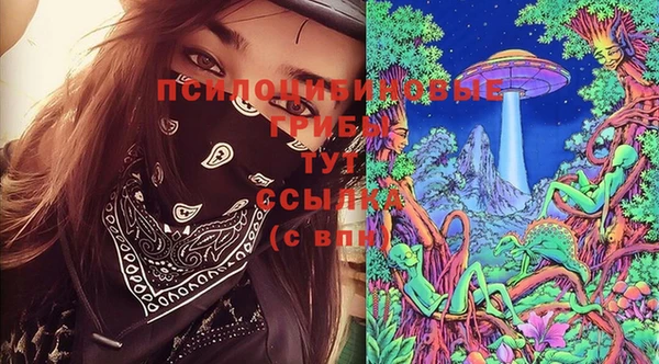 трава Заволжск