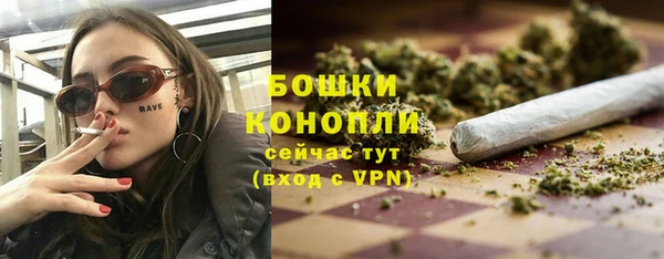 молекула духа Заволжье